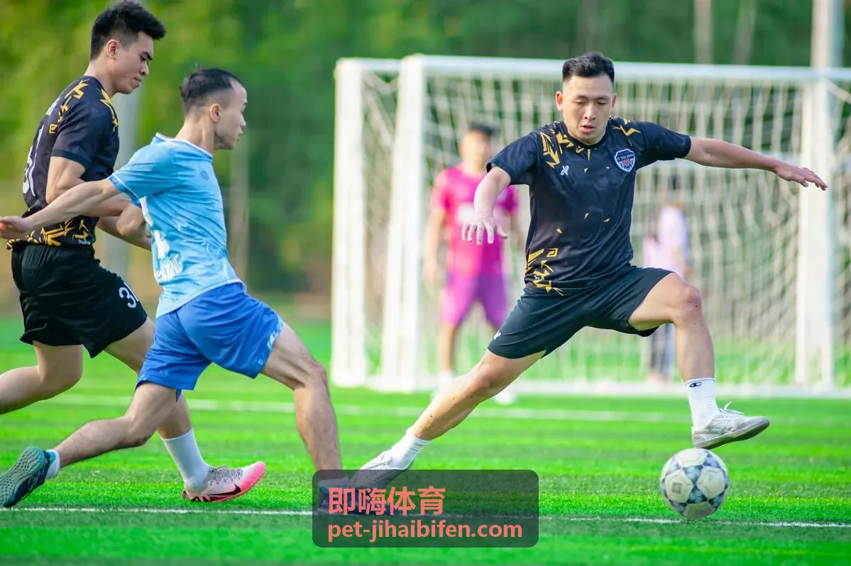 即嗨体育篮球更新封面六